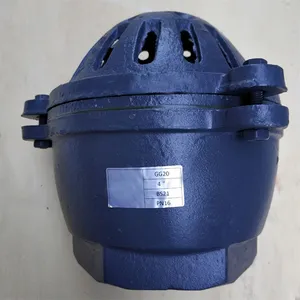High Quality BS Standard DN150mm Cast Iron PN16 Thread Foot Valve Use for Water Pump thumbnail-2