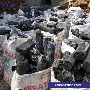 Coconut Shell Carbonization Furnace Wood Pyrolysis Charcoal Making Machine Charcoal Carbonization Equipment thumbnail-4