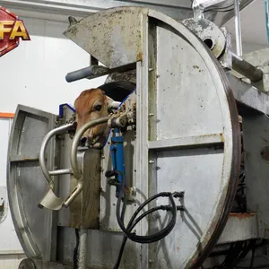 WFA Large Scale Cattle Slaughterhouse Equipment Cow Abattoir Machine Meat Processing Plants Turnkey Installation thumbnail-4