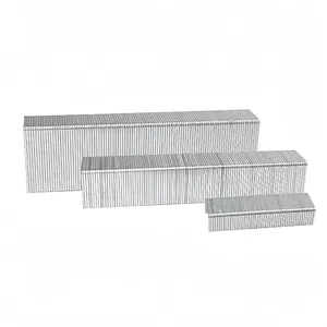 Great Quality Electro Galvanized/Color Painted Staple Nails/T Nail/L Nail/Code Nail thumbnail-2