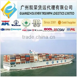 Shenzhen Guangzhou Ningbo Lcl Shipping Forwarder to Suriname thumbnail-1
