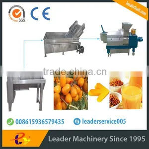Leader Hot Sales Seabuckthorn Wine Process Line With Website:leaderservice005 thumbnail-1
