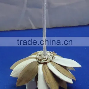 Sola Flower thumbnail-1