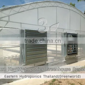 Greenhouse thumbnail-2