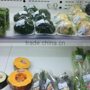 High Performance Horizontal Pillow Packaging Machinery for Vegetables CB-600 thumbnail-3