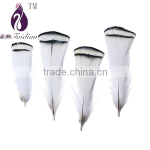 Pheasant Tail Feathers White for Wedding/clothing/hat thumbnail-1