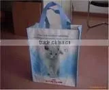Travel Bag thumbnail-1