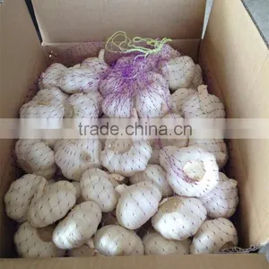 2015 New Season Chinese Garlic Wholesale Fresh Natural Garlic Normal White Garlic Pure White Garlic Purple Garlic thumbnail-3
