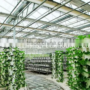 Vegetable-growing Greenhouse-commercial Greenhouses thumbnail-1