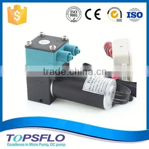Brushless DC 12v Real Flame Fireplaces Pump thumbnail-1