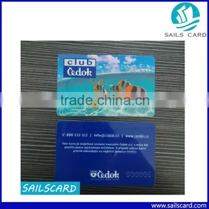 Low Cost Pvc Card With F08 Chip thumbnail-6