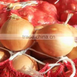 Onion thumbnail-2