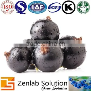 Organic Blackcurrant Extract for Anti-cancer thumbnail-1