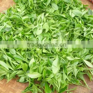 Vietnam Traditional GREEN TEA thumbnail-6