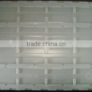 Natural PP Packaging Tray thumbnail-5