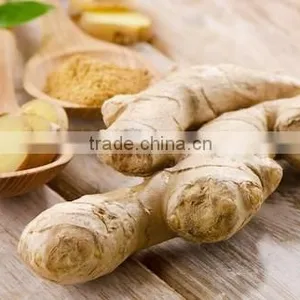 FRESH GINGER AND DRIED GINGER VIETNAM PACKING IN MESH BAG OR CARTON thumbnail-1
