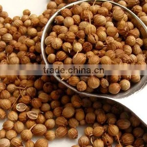 Indian High Grade Fresh Wholesale Dried Coriander Seed thumbnail-5