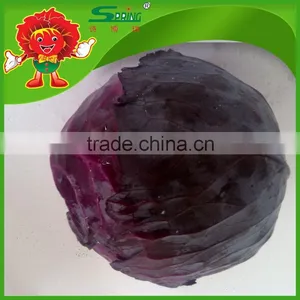 2016 Fresh Red Cabbage Premium Cabbage Export thumbnail-5