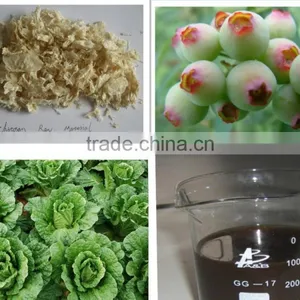 Chitosan Fungicide Liquid Bio Fertilizer thumbnail-1