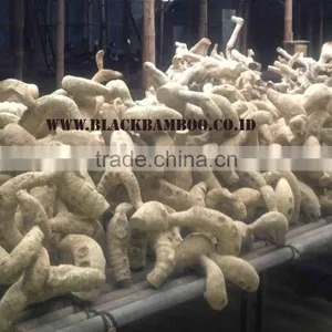 Bamboo Root Large Size thumbnail-1