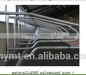 Cattle Farm Cattle Free Stall thumbnail-2