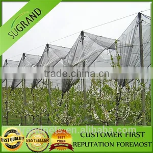 HDPE Catch Birds Anti Bird Netting thumbnail-3