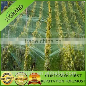 Nylon Bird Nets for Catch Birds Anti Bird Netting for Australia Market thumbnail-4