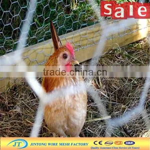 JT Factory Cheap Electro Galvanized Hexagonal Wire Mesh/Chicken Wire thumbnail-2