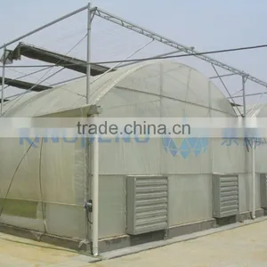Plastic Film Greenhouse For Agriculture Use thumbnail-2