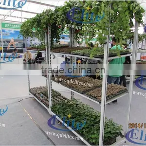 251Seedling Trolleys thumbnail-6