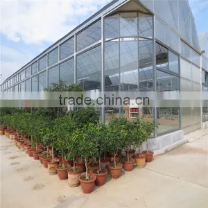 Film/Glass/PC Growing Greenhouse For Hydroponics NFT Lettuce thumbnail-5
