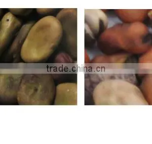 2016 High Accuracy Professional Grain Ccoffee Bean Sorting Machine For Coffee,Cocoa,Bean,Wheat thumbnail-2