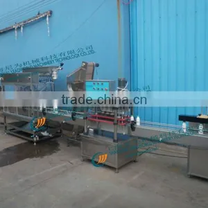 Automatic Single Line Vinegar Filling Line thumbnail-1