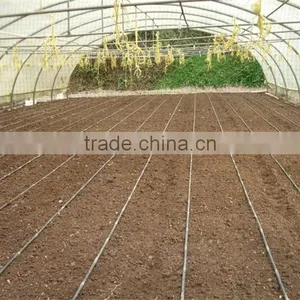 Low Cost Plastic Tunnel Greenhouse for Used Poultry Farm thumbnail-2