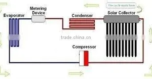 Water Thermostat thumbnail-1