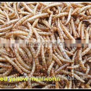100% Pure Natural Microwave Dried Mealworm; Dried Tenebrio Molitor For Fish Food thumbnail-1