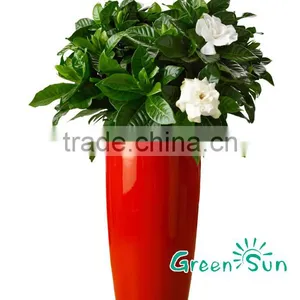 Beautiful Large Waterproof PP Plastic Flower Pots thumbnail-4