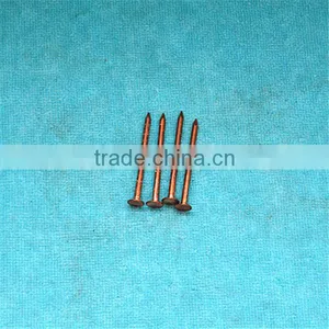 Concrete Brass Nail thumbnail-6