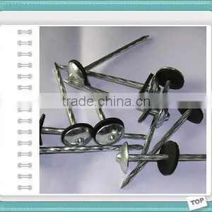 Turkey Market Galvanzied ROOFING NAILS BWG9X2.5" thumbnail-5