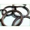 PTFE Step Seal/GSJ thumbnail-1