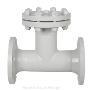 DN50-400mm T Type Straight Through Strainer thumbnail-1