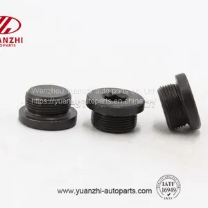 Black Hex Socket Oil Pipe Plugs Factory thumbnail-1