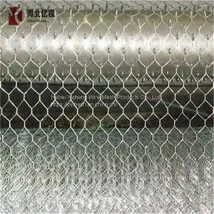 Hot Dip Electro Galvanized Chicken Wire Mesh Hexagonal Wire Mesh With Lowest Price thumbnail-3