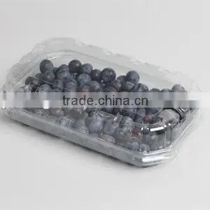 Clear PET Food Box.food Container,clear Square Container . thumbnail-1