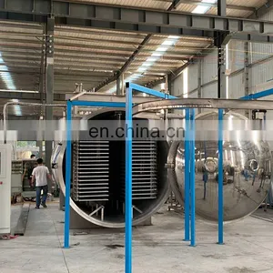 Lyophilizer for Fruit and Vegetable Lyophilization Machine Vacuum Freeze Drying Equipment Prices thumbnail-5