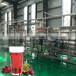 China Newest Grape Fruit Juice Machine Production Line Manufacturers thumbnail-3