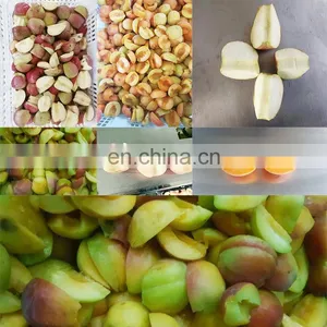 Competitive Price and High Quality Quinces Corer On Sale thumbnail-5