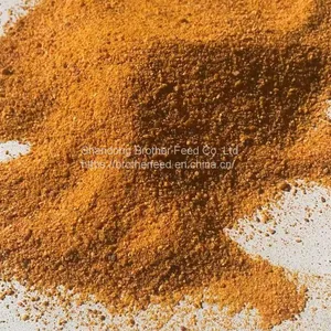 Protein 60% Animal Feed Poultry Feed Additive Grade Corn Gluten Meal Corn Not Gluten Meal thumbnail-4