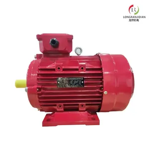 Ie3 Premium Efficiency Electric Motor thumbnail-1
