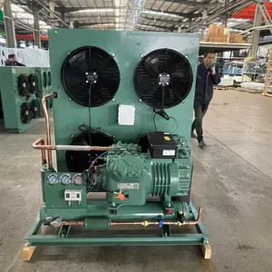 Ready To Ship ZSI08KQE 3hp R404a Air Cooled Condensing Unit thumbnail-1